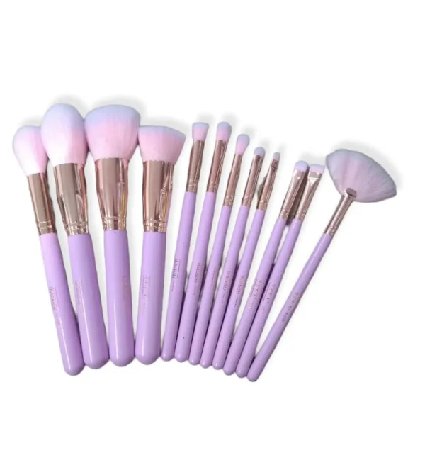 Kit De Brochas Para Maquillaje Lula X 12 Unds